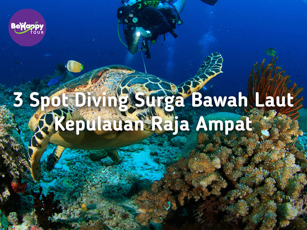 3 Spot Diving Surga Bawah Laut Kepulauan Raja Ampat